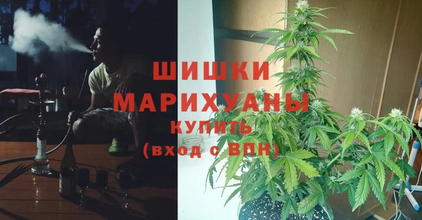 spice Арсеньев